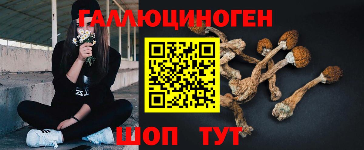 Галлюциногенные грибы мухоморы  Псилоцибиновые грибы мухоморы  Радужный  Вход с VPN 